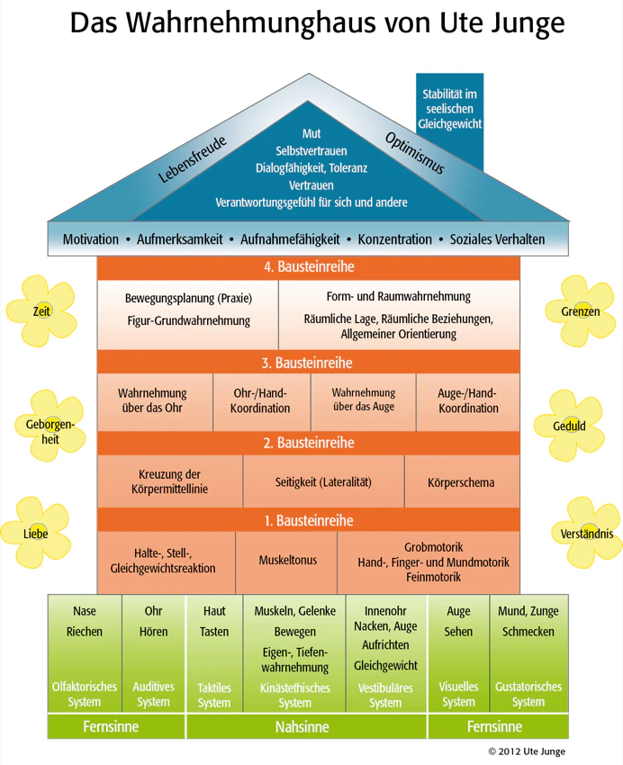 Das Wahrnehmungshaus von Ute Junge: Im grünen Fundament stehen die sieben Sinne, unterteilt in Nahsinne und Fernsinne. Darüber liegen vier orangefarbene Bausteinreihen mit Fähigkeiten wie Muskeltonus, Körperschema, Auge-Hand-Koordination und Bewegungsplanung. Die blaue Decke nennt Motivation, Aufmerksamkeit, Aufnahmefähigkeit, Konzentration und soziales Verhalten. Im Dach stehen Mut, Selbstvertrauen, Vertrauen, Toleranz und Verantwortungsgefühl.